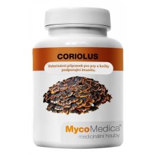 Coriolus 500 mg 90 kapslí
