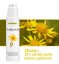 Arnika Gel 200 ml
