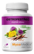 Ostropestřec Reishi Pampeliška - Pro podporu jater 90 kapslí