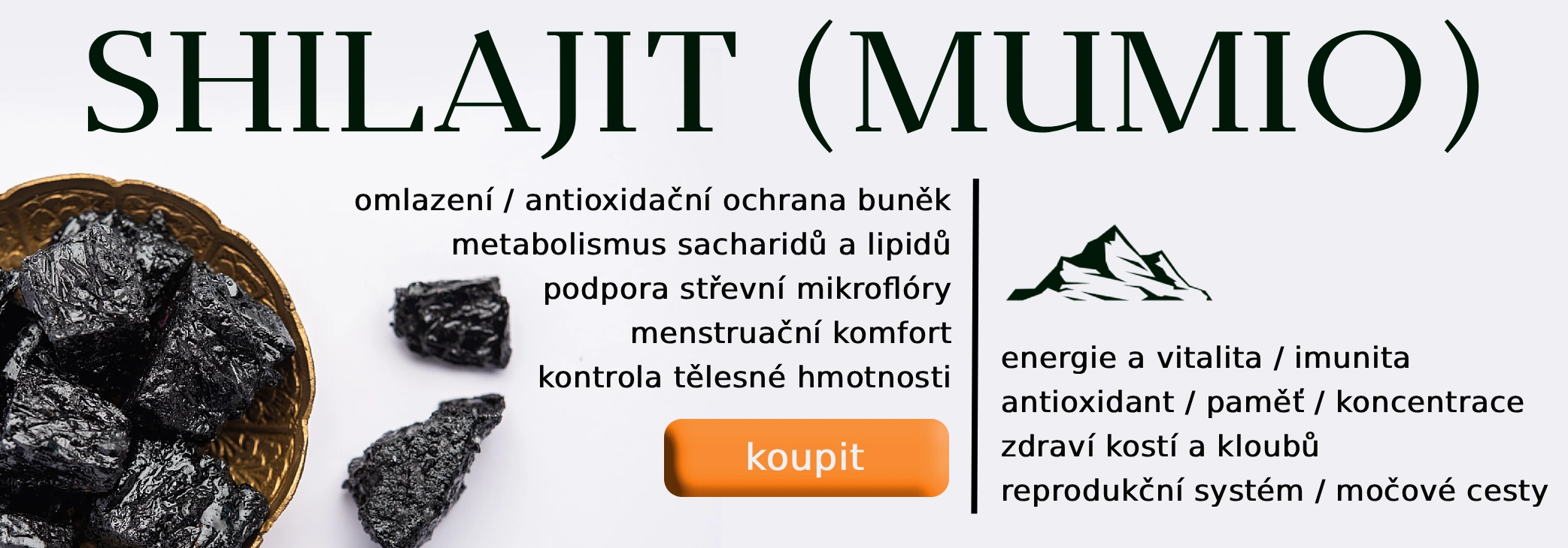 Shilajit (Mumio) Legendární elixír