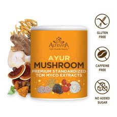 AYUR Mushroom 100 g