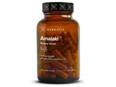 Amalaki Extrakt 500 mg 60 kapslí