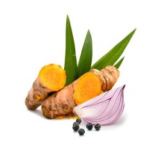 Curcumin 344 mg 120 kapslí