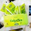 Zelený čaj - Stassen Lemon Green Tea 25 x 1,5 g