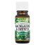 Nachlazení & Imunita 10 ml
