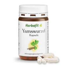 Wild Yam - Smldinec chlupatý 120 kapslí