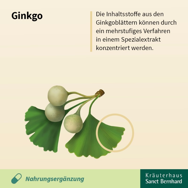 Bylinný čaj - Ginkgo listy 120 g