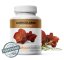 Auricularia - Jidášovo ucho 500 mg 90 kapslí