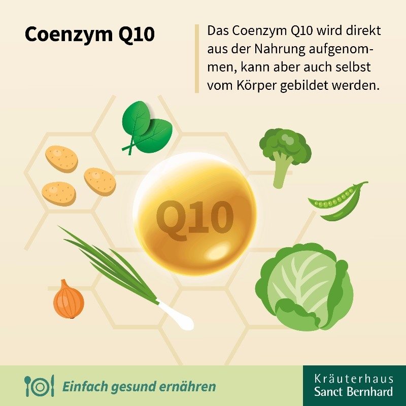 Koenzym Q10 100 mg 90 kapslí