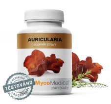 Auricularia - Jidášovo ucho 500 mg 90 kapslí