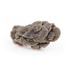 Coriolus 500 mg 90 kapslí