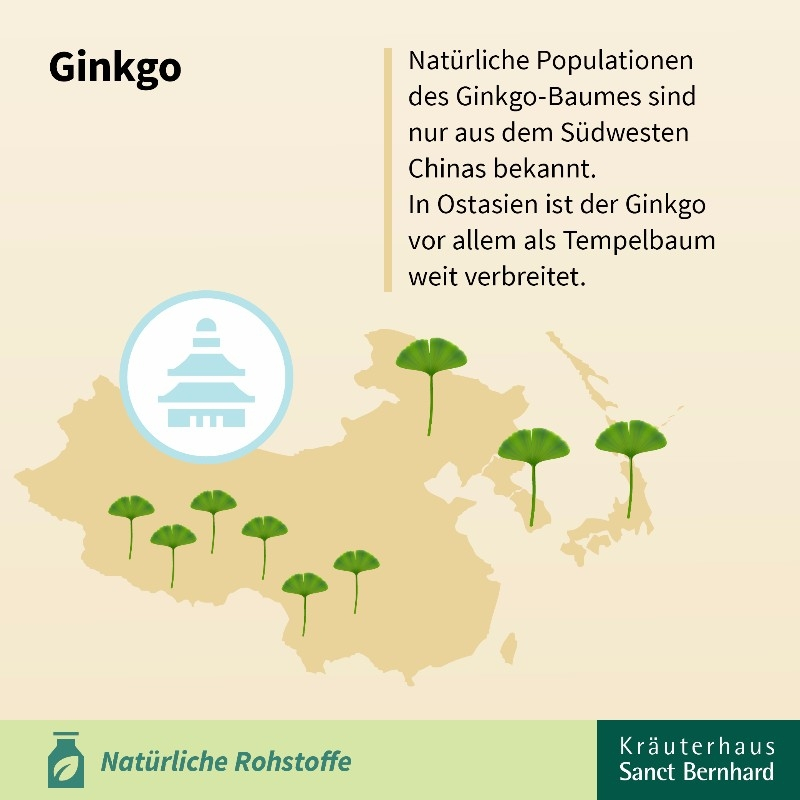 Bylinný čaj - Ginkgo listy 120 g