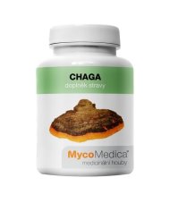 Chaga 500 mg 90 kapslí