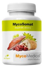 MycoSomat 500 mg 90 kapslí